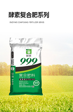 酵素91视频地址入口係列