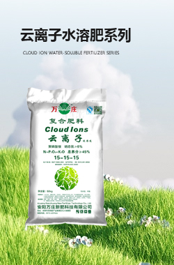 雲離子91视频黄污APP肥係列